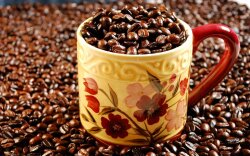 A Cup, Full Of Coffee Beans Wallpaper