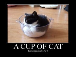 A Cup Of Cat Wallpaper