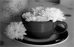 A Cup Of Hope Wallpaper