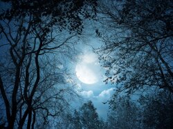 Beauty Of The Moon Wallpaper