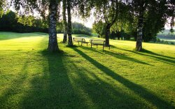 Benches In The Morning Sun Nature Wallpaper