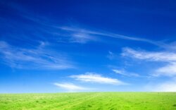 Blue Sky and Green Grass Wallpaper #2876