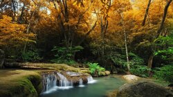 Cascading Falls In A Corner Of A Forest Wallpaper