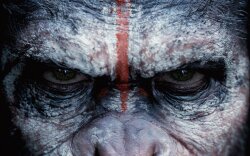 Dawn of the Planet of the Apes Wallpaper