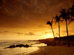 Earth Beach Wallpaper #163781