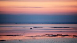 Earth Beach Wallpaper #163860