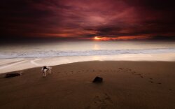 Earth Beach Wallpaper #164729