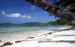 Earth Beach Wallpaper #165457