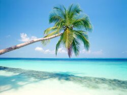 Earth Beach Wallpaper #166575