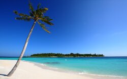 Earth Beach Wallpaper #166767