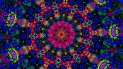 Festival Of Colors Wallpaper