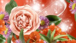 Flowers Of Colors Wallpaper