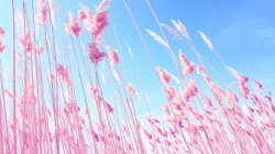 Grass on Beach Wallpaper