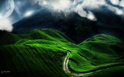 Green Landscape Road Wide Wallpaper