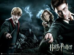 Harry Potter And The Order Of The Phoenix Wallpaper