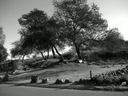 Nature Black And White Of Wallpaper