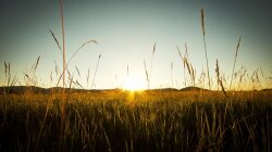 One Piece The Morning Sun Up Net Wallpaper