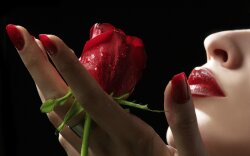 Red Rose & Lips Wallpaper #3390