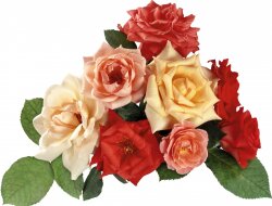 Rose Pyramide Wallpaper