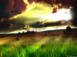 Rural Landscape Wallpaper