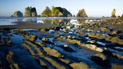 Shi Beach And Point Of The Arches Wallpaper #90082