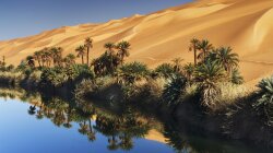 Side Of The Deserts Wallpaper