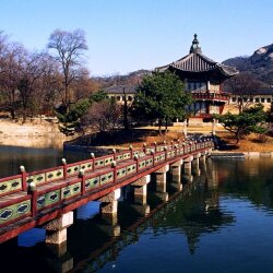 Small Bridge In South Korea Wallpaper #95428