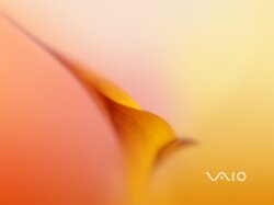 Sony VAIO Wallpaper #3108