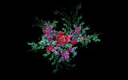 Sweet Flowering Wallpaper #18214