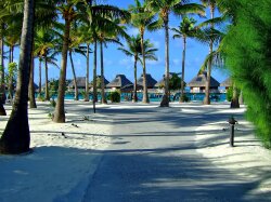 The Beach Of Bora Bora Wallpaper
