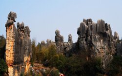 The Stone Forest Landscape Wide Wallpaper