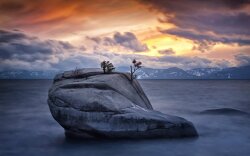 Trees Growing Out Of Rock In A Lake Wallpaper