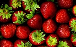 Wall Of Strawberries Wallpaper #20554