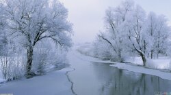 Winter Landscape Wallpaper