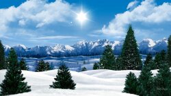 Winter Morning Sun Wallpaper